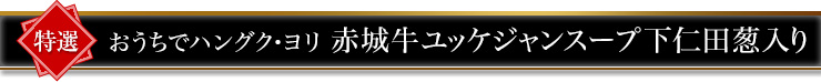 おうちでハングク・ヨリ 赤城牛ユッケジャンスープ下仁田葱入り500g
